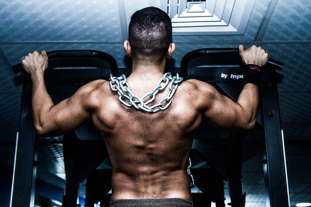 muscle, gym, training, muscle, gym, gym, gym, gym, gym