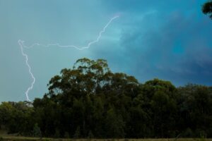 Dramatic image of lightning striking over a dense forest during a stormy evening sky.