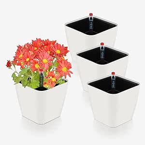 vaso autoirrigante