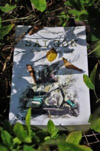 book, novel, cover, leaves, plants, sunshine, nature, read, reading, paper, knowledge, wise