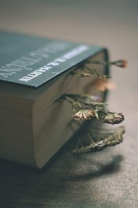 book, game of thrones, flower wallpaper, imagination, literature, reading, light, beautiful flowers, flower background, dried flowers, flower, pressed flowers, nature, emotion, dark, atmosphere, book, book, book, book, book, imagination, imagination, imagination, dried flowers, pressed flowers, emotion