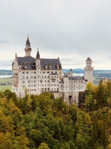 castle, fairy tale castle, palace, building, architecture, facade, towers, edifice, fort, citadel, fortress, trees, forest, nature, landmark, fairy castle, landscape, tourist attraction, tourist destination, castle, castle, castle, castle, castle, palace