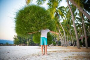 man as a tree