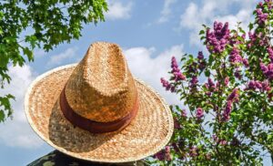 cap, straw hat, sun protection, braid, straw, men's hat, straw hat, straw hat, straw hat, straw hat, straw hat