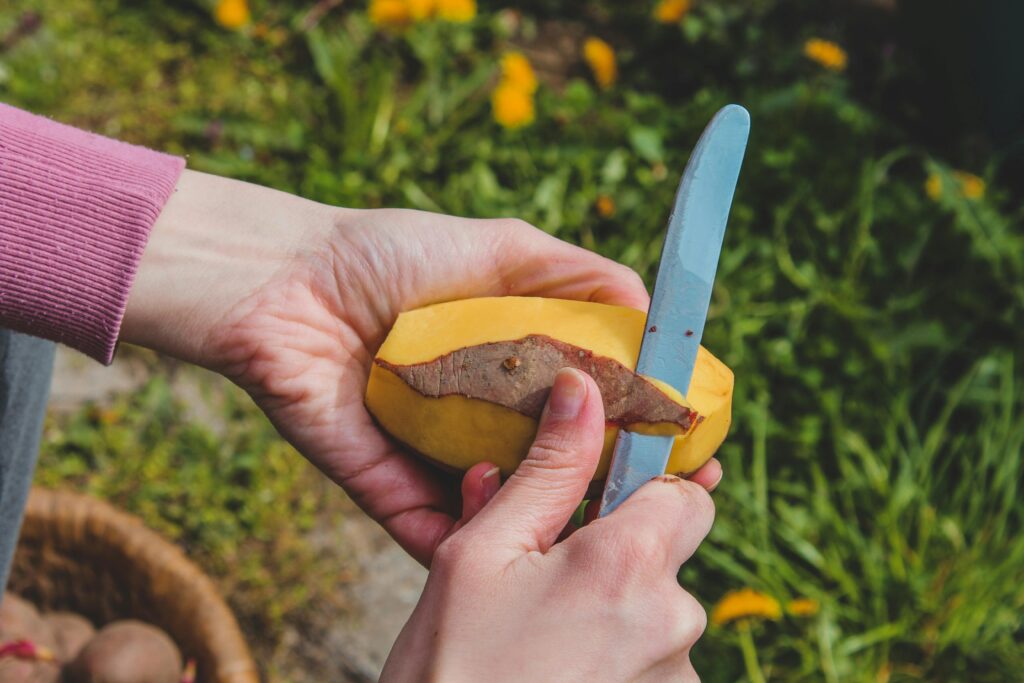 Hands peeling a potato with a knife in a garden. Vibrant and close-up, showcasing fresh produce.