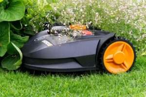 robotic lawnmower, robot, autonomous, mow, grass, lawn mower, garden, lawn, automatically, lawn robot, service robot, gardening, nature, garden maintenance, landscape, green, smart home, smart garden, artificial intelligence, mower, technology, robotic lawnmower, robotic lawnmower, robotic lawnmower, lawn mower, lawn mower, lawn mower, lawn mower, lawn mower, smart home, smart home, artificial intelligence, artificial intelligence, artificial intelligence, mower