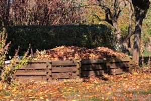 fall, meadow, leaves, nature, grass, tree, compost, autumn leaves, autumn color, foliage coloring, autumn mood, autumnal, colorful, october, compost, compost, compost, compost, compost