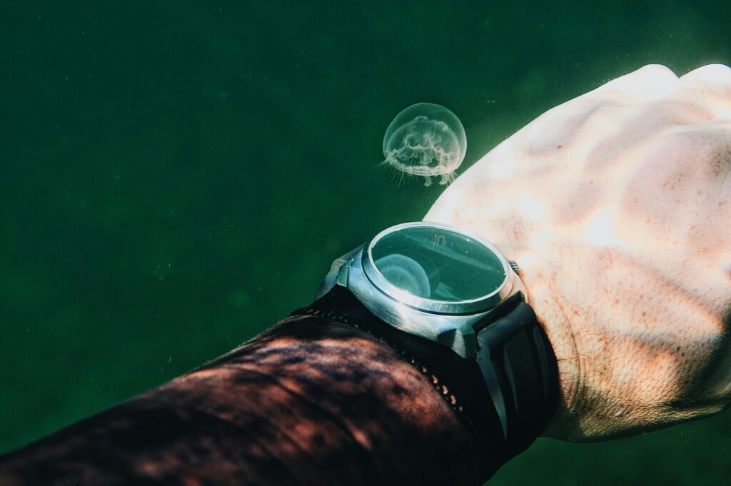 Close-up of a human hand with wristwatch and jellyfish underwater, showcasing aquatic exploration.