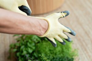 Close-up of gloved hands ready to plant in a garden. Ideal for gardening themes.