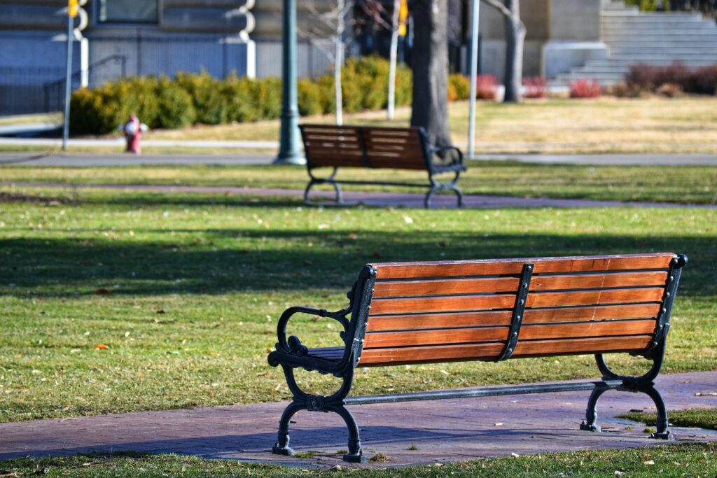 Peaceful park scene with wooden benches and lush grass, ideal for relaxation.